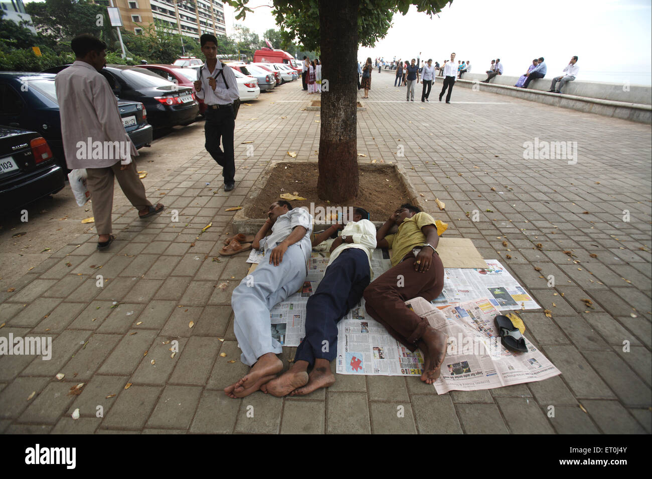 Tre persone dormono sotto l'albero di Marine Drive ; Mumbai Bombay ; Maharashtra ; India Foto Stock