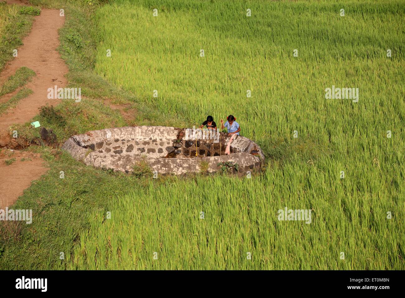 Villaggio bene in campi sulla strada principale di Nasik Mumbai in India di Maharashtra Foto Stock