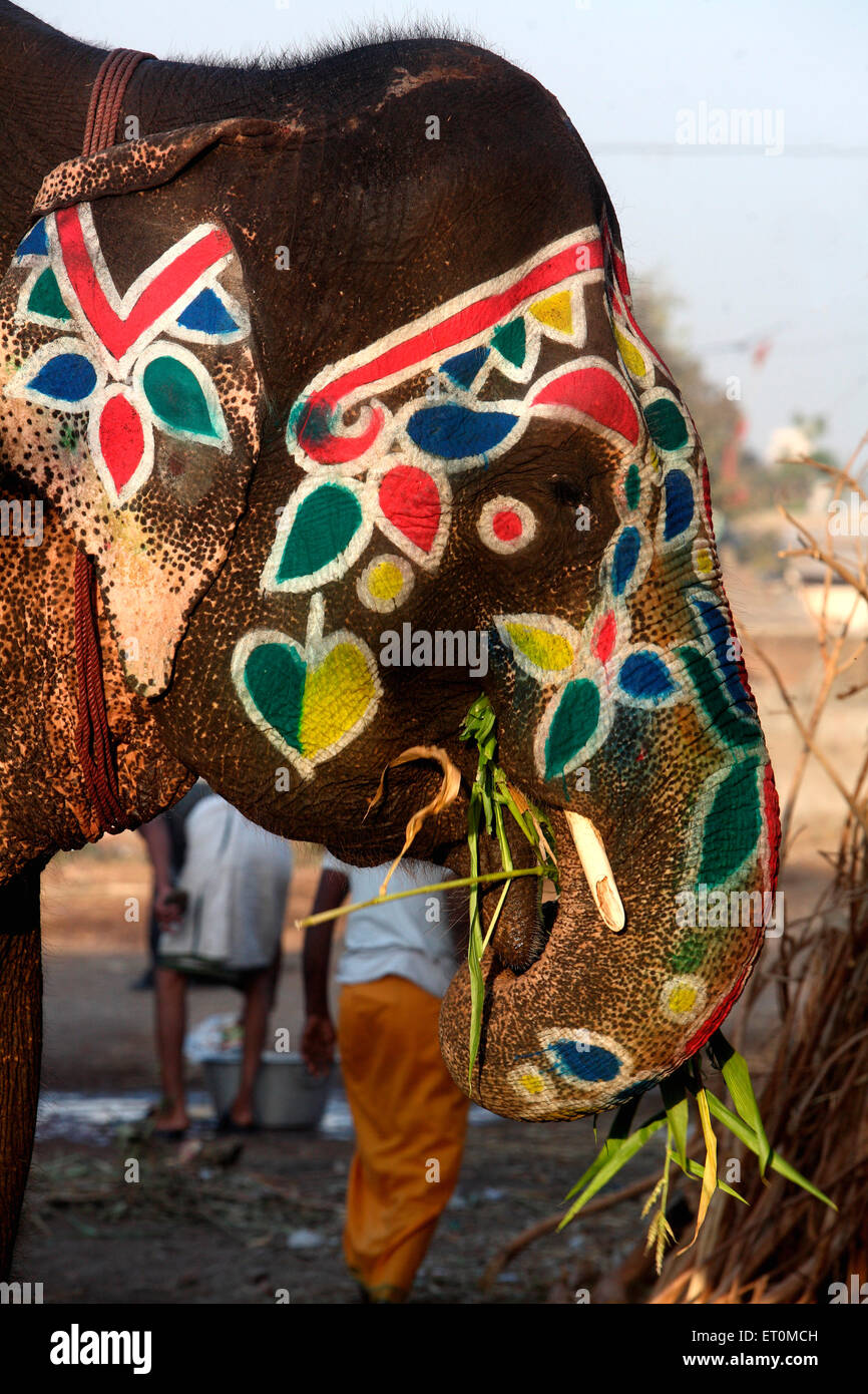 Elefante dipinto, Ahmedabad, Gujarat, India Foto Stock