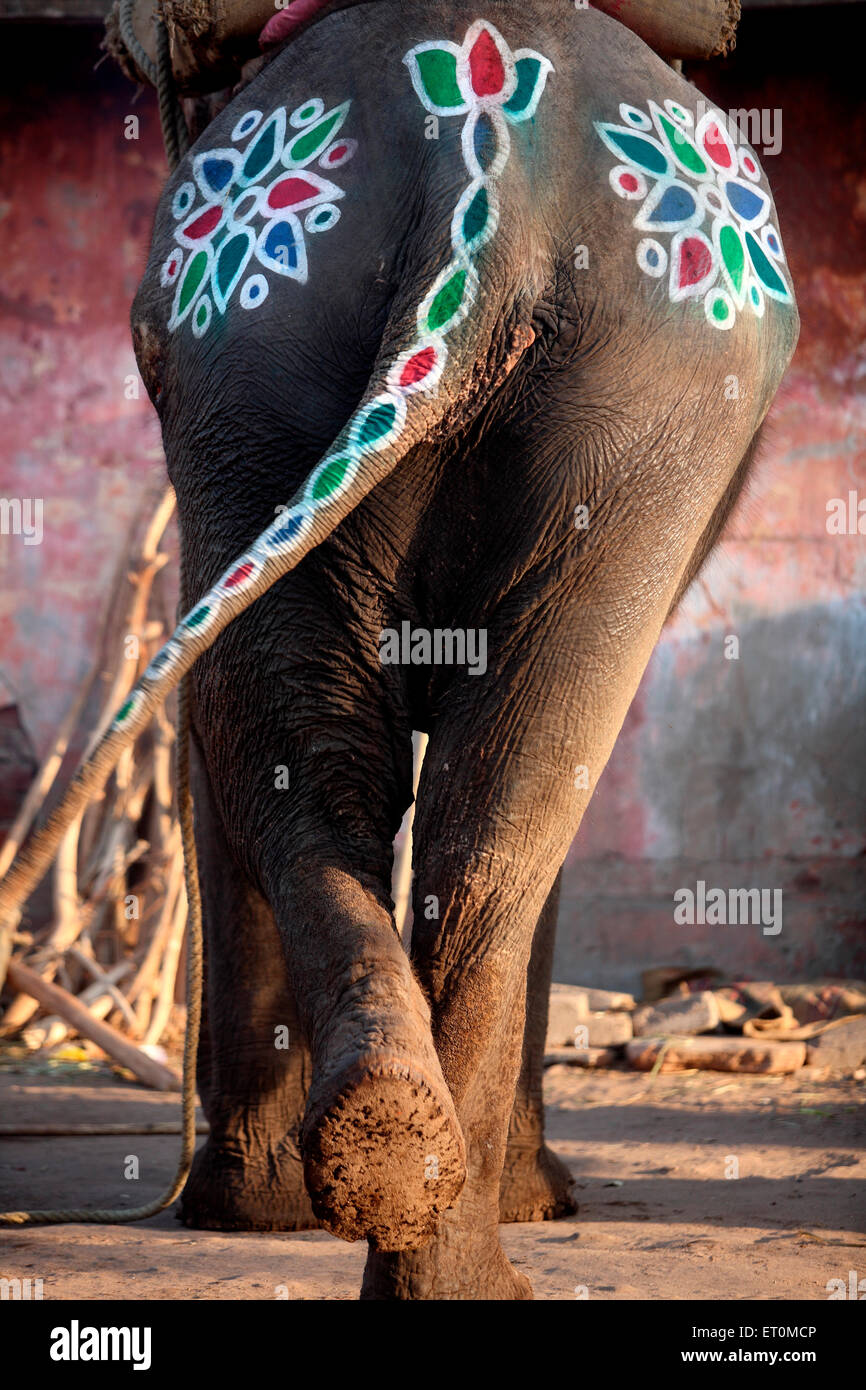Elefante dipinto, Ahmedabad, Gujarat, India Foto Stock