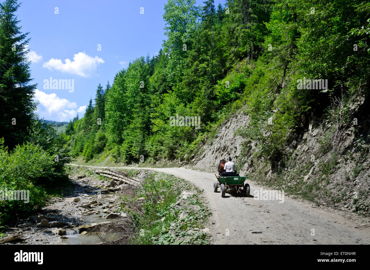 Da soli vintage carrello cavallo in montagna road Foto Stock