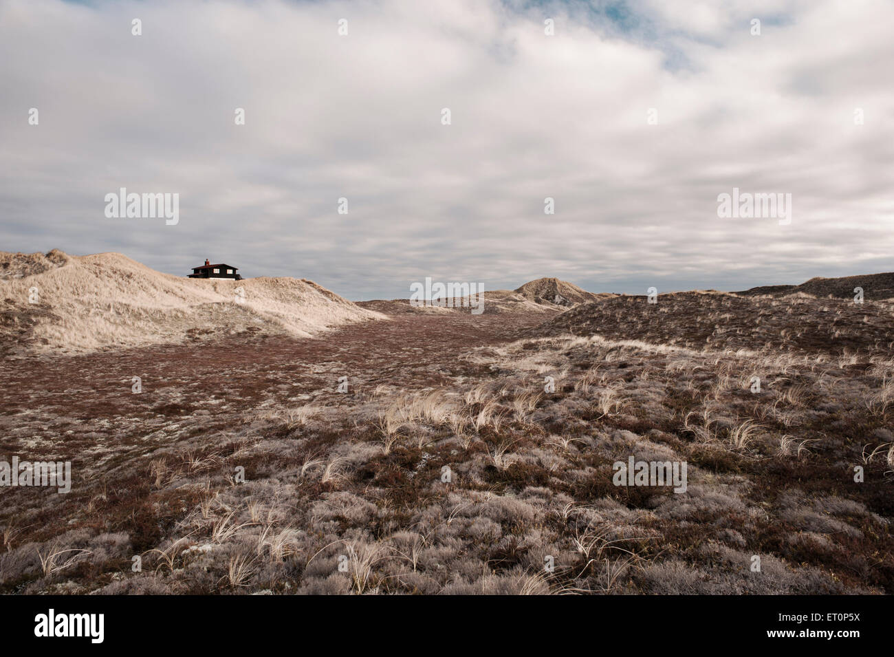 Paesaggio di Dune - Danimarca West Foto Stock