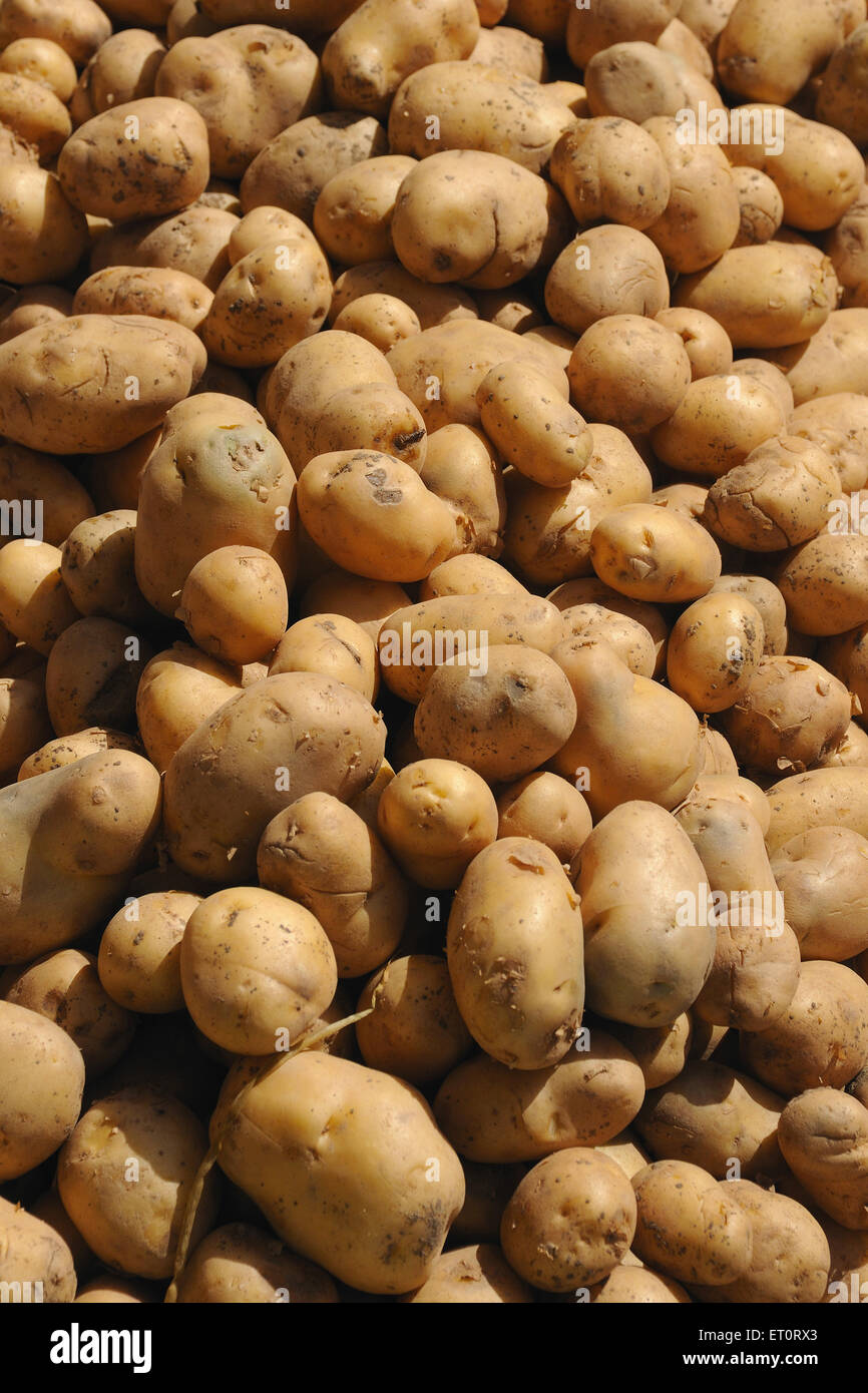 Ortaggi ; patate Foto Stock