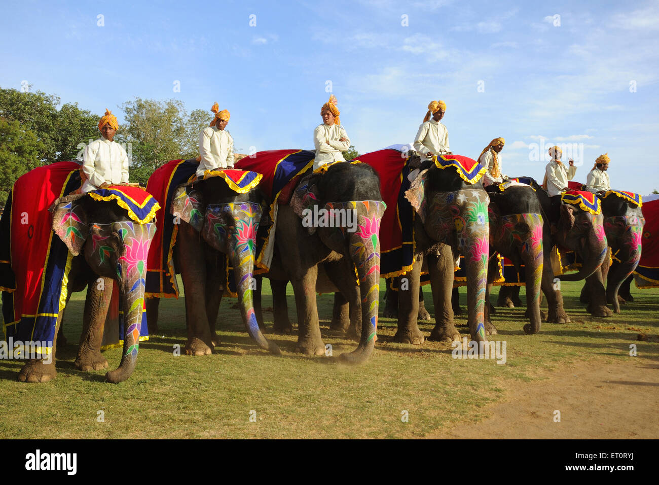elefante dipinto, elefante decorato, decorazione elefante, sfilata di elefante, festa di elefante. Jaipur, Rajasthan, India, festival indiani Foto Stock
