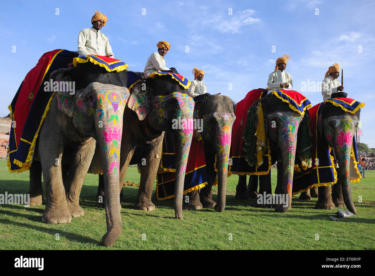 elefante dipinto, elefante decorato, decorazione elefante, sfilata di elefante, festa di elefante. Jaipur, Rajasthan, India, festival indiani Foto Stock