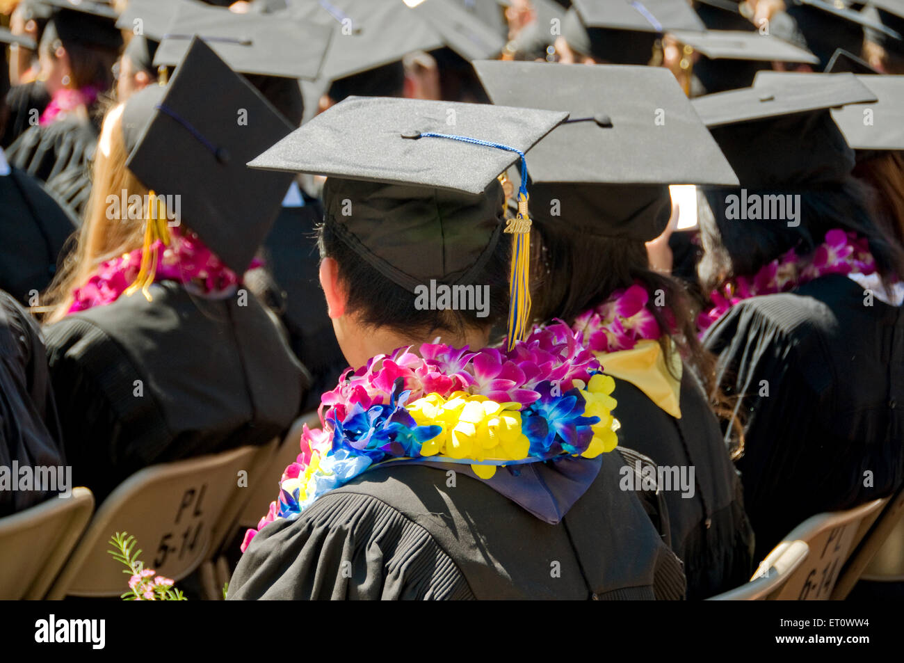 Vista della funzione di laurea all'Università di Berkeley , California , Stati Uniti Stati Uniti d'America n. MR Foto Stock