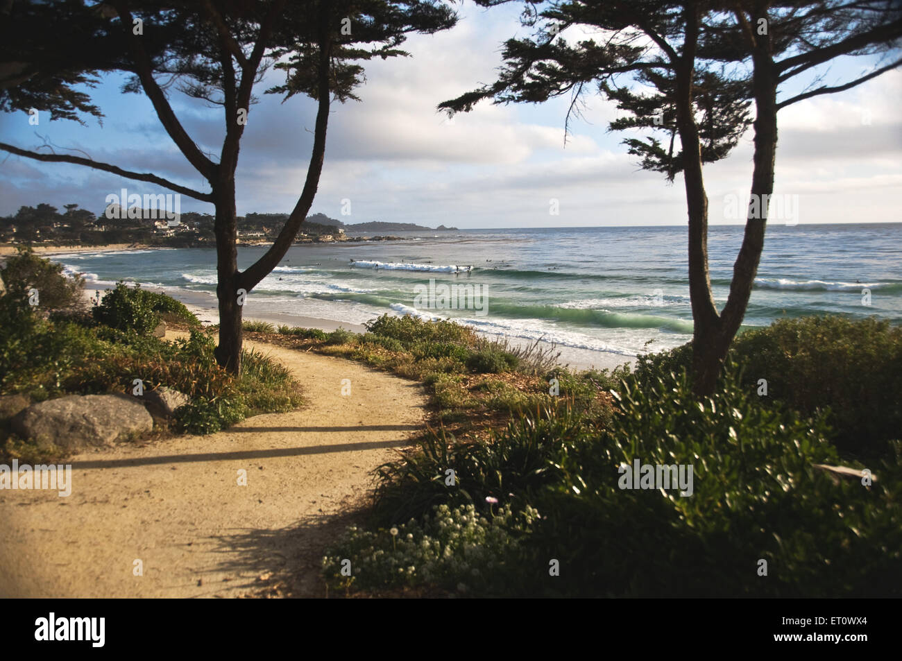 Vista del paesaggio presso la California ; Stati Uniti Stati Uniti d'America Foto Stock