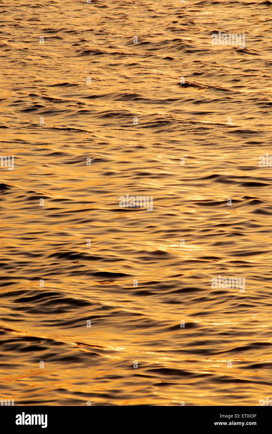 acqua di mare al tramonto Foto Stock