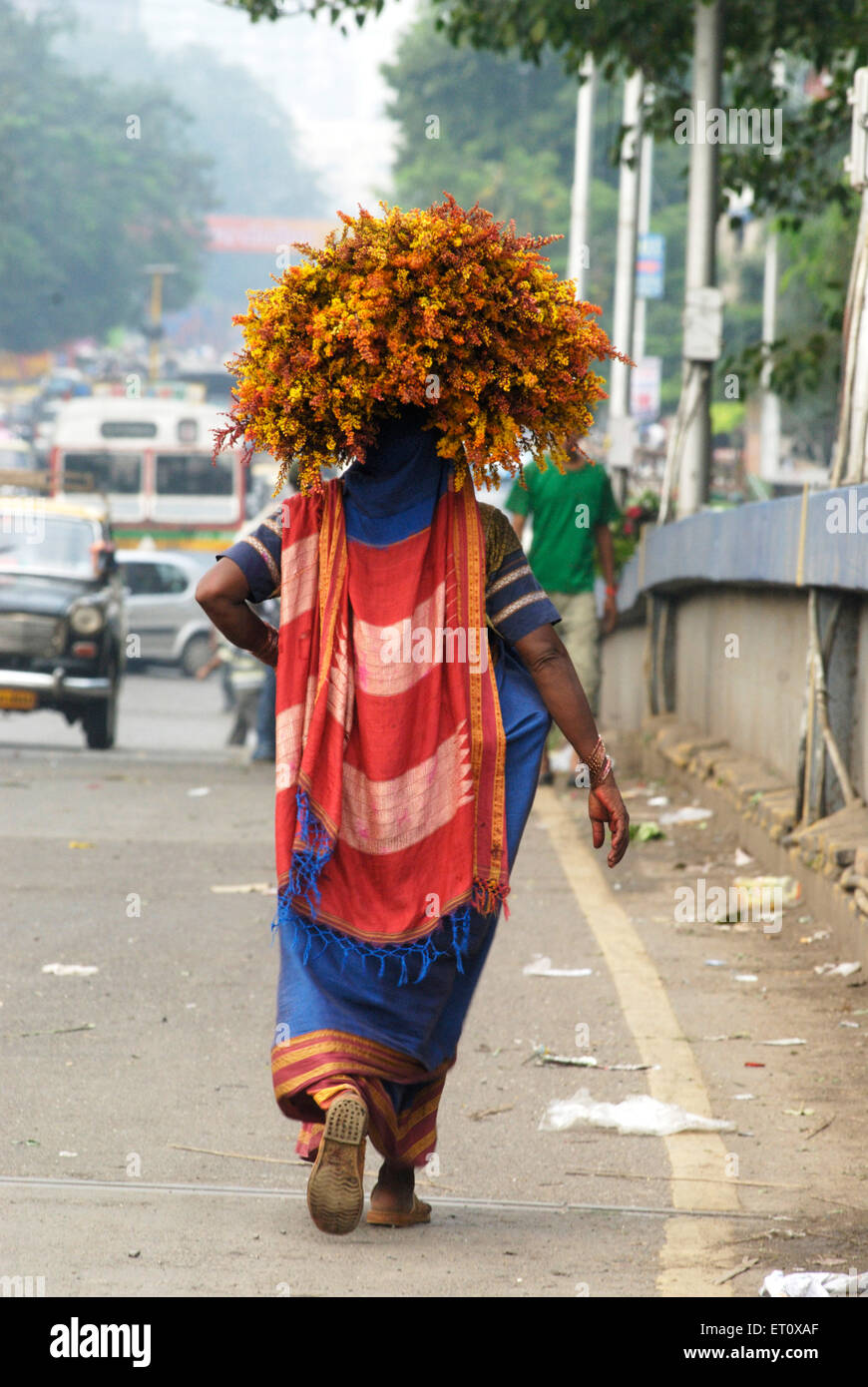 Donna con le pesanti fascio di erba lasciava goldenrods sulla testa ; Ganesh Ganapati Festival a Dadar ; Mumbai Foto Stock