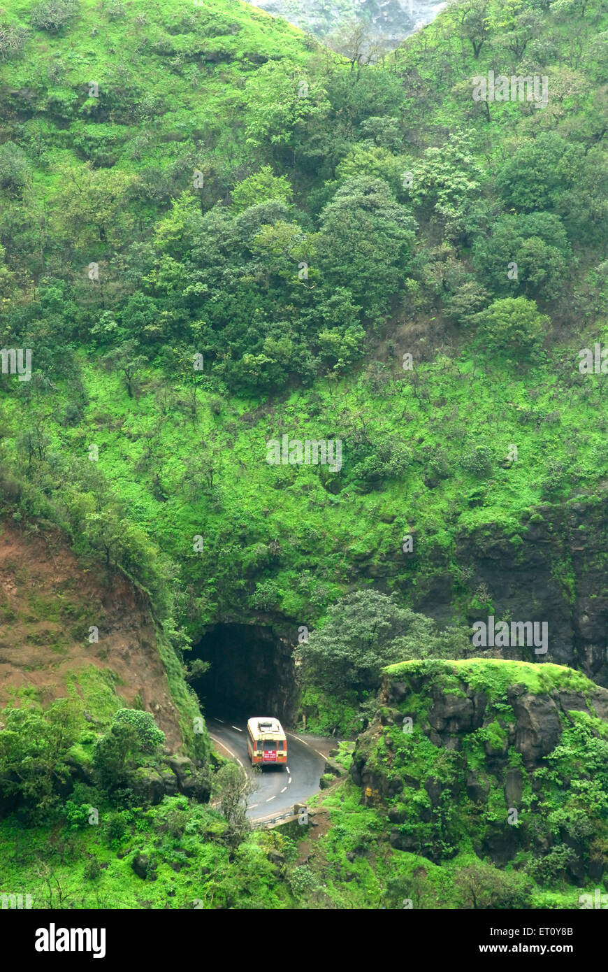 Tunnel su autostrada nazionale e fitta foresta a Malshej Ghat ; Maharashtra ; India ; Asia Foto Stock