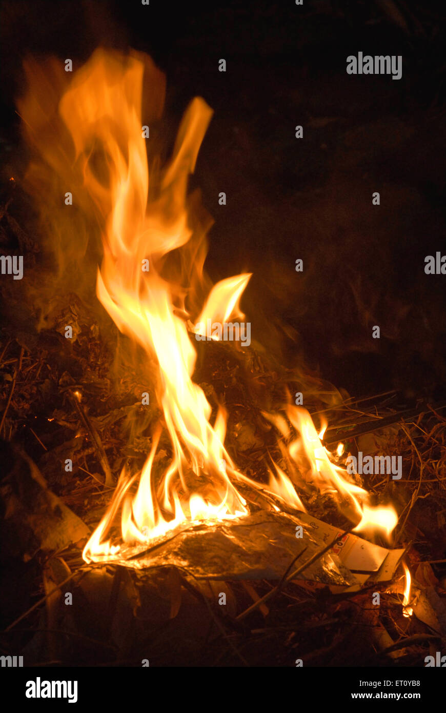 Fuoco fiamma che brucia spazzatura Foto Stock