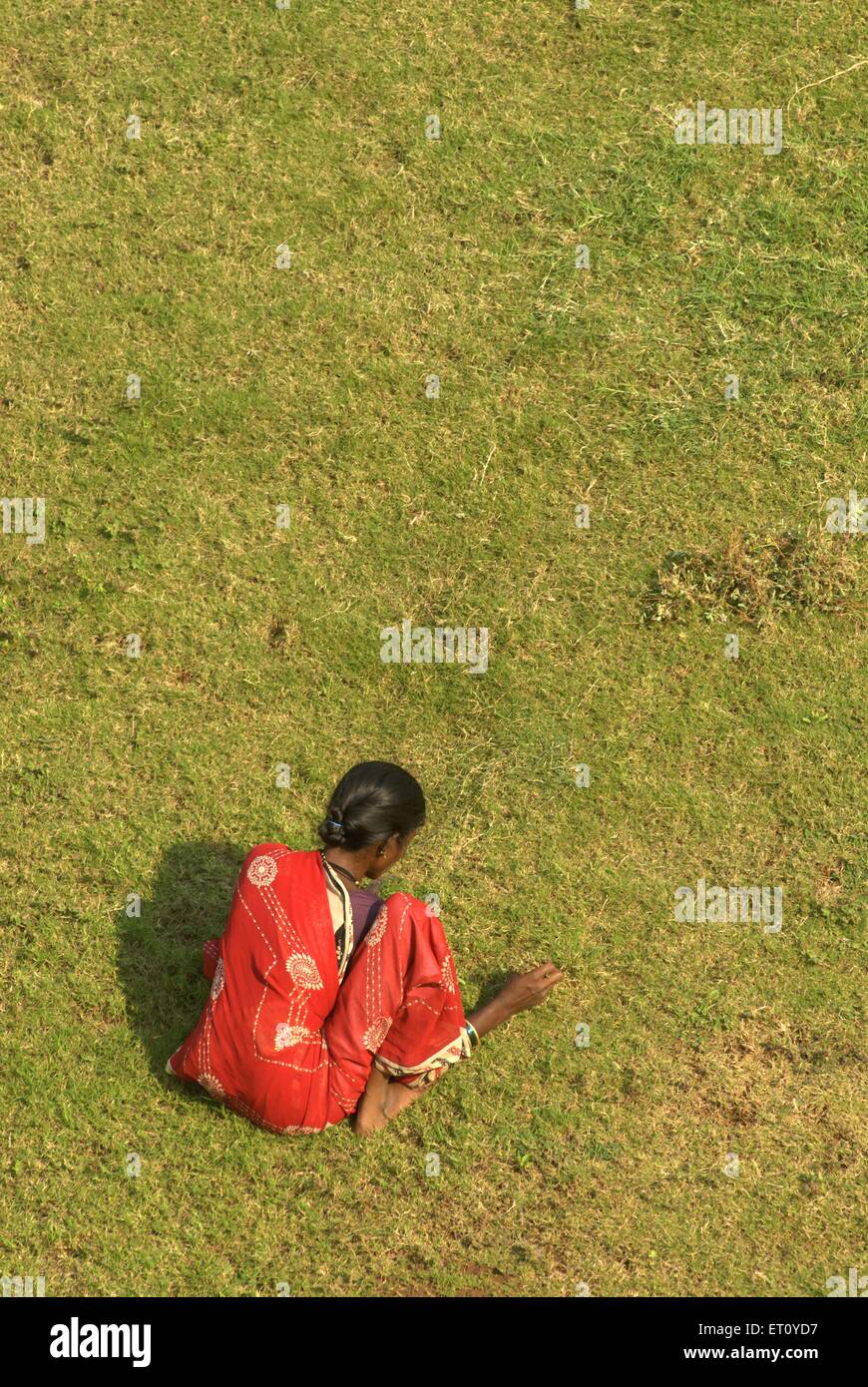Donna che pulisce prato erba, raccolta erba morta, Pune Okayama Friendship Garden, pu la Deshpande Udya, Pune, Maharashtra, India Foto Stock