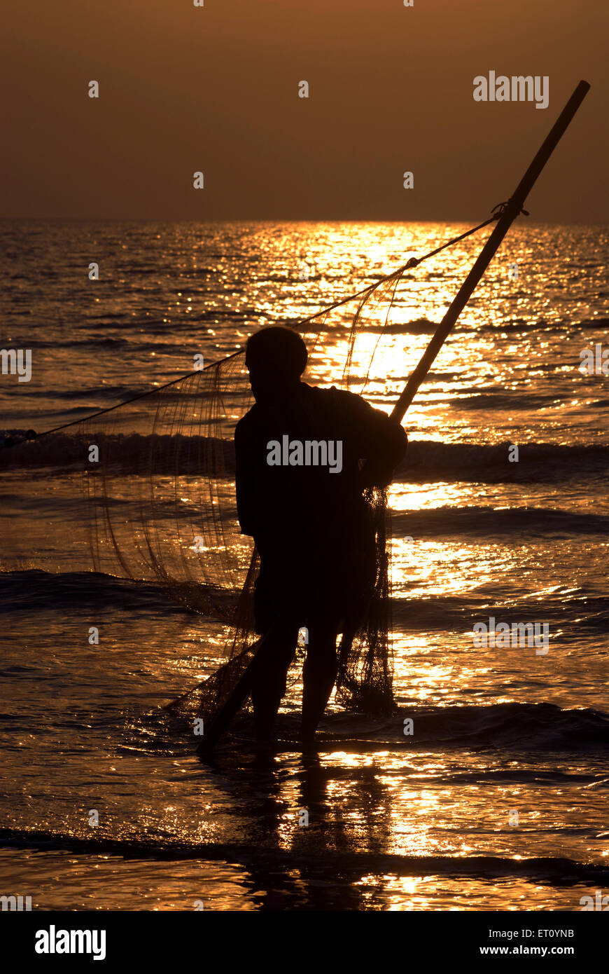 Pescatore che tira la rete di pesca al tramonto, spiaggia di Kalamb, Bassein, Vasai, Thane, Maharashtra, India Foto Stock