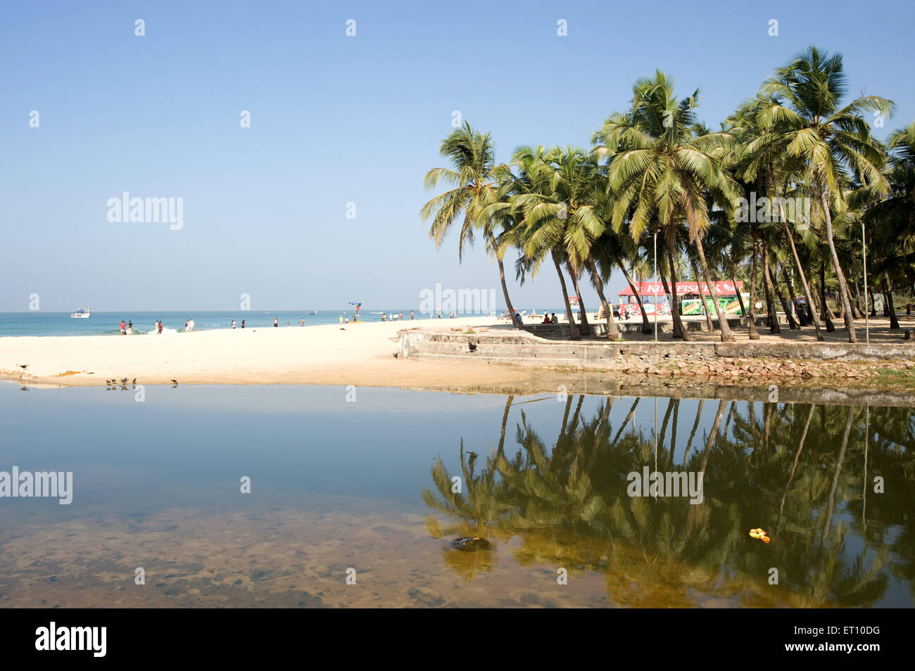 Spiaggia di Colva palme mare cielo spiagge indiane di Goa India Foto Stock