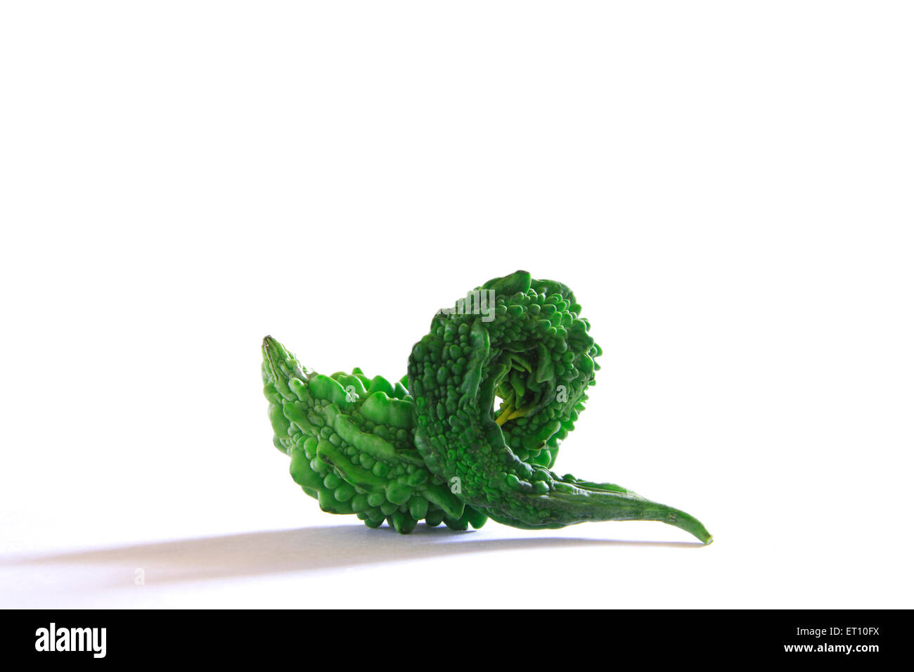 Vegetali verdi ; karela gourd Amaro momordica charantia su sfondo bianco Foto Stock