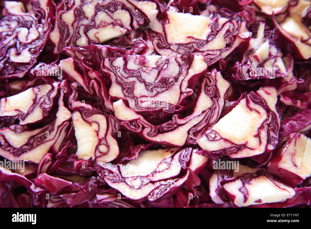Ortaggi ; pattagobi cavolo Viola rossastro blue violet Foto Stock