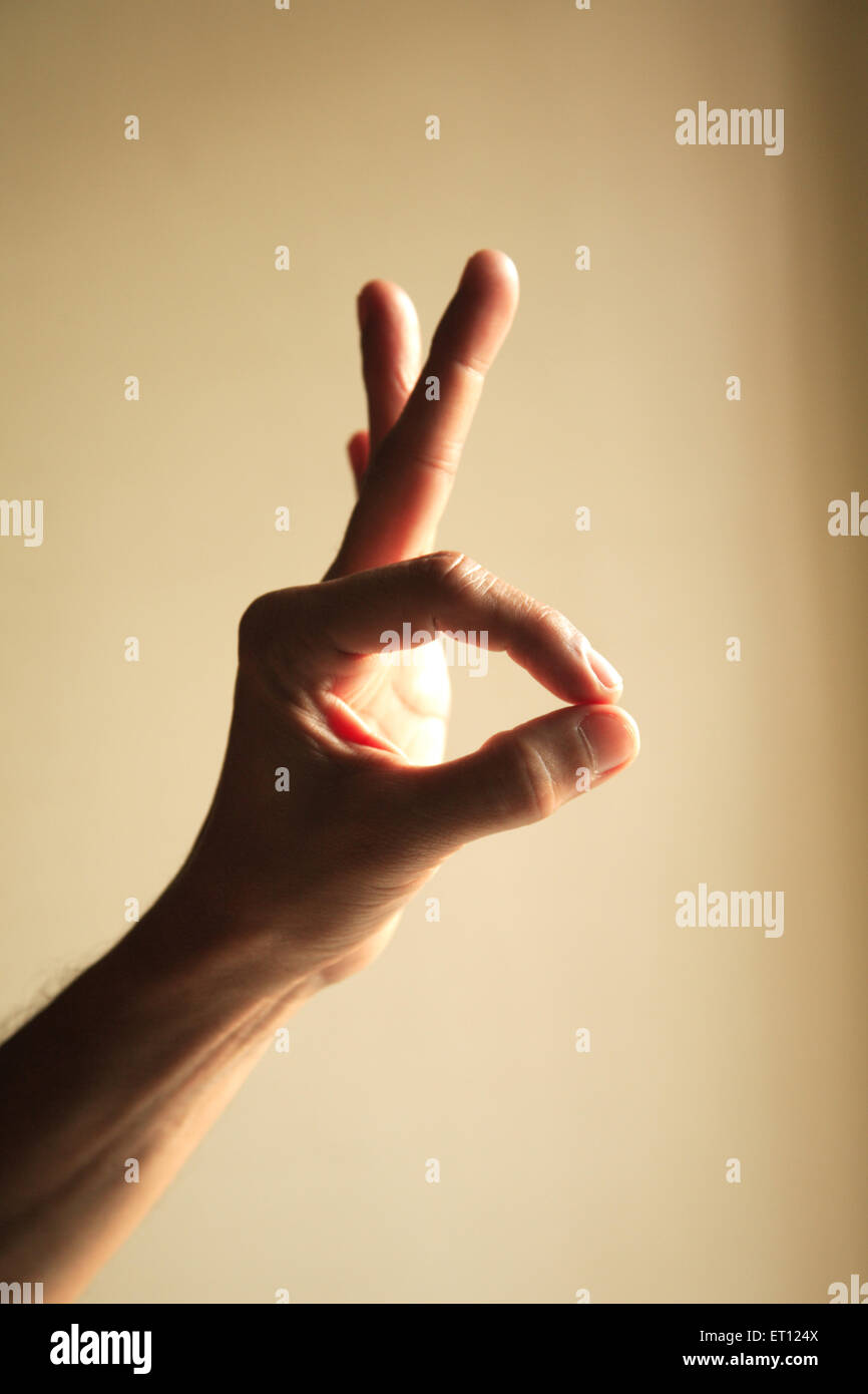 premendo il pollice e l'indice, l'indice, il primo dito, il secondo dito, il puntatore, Dito di attivazione, digitale secundus, digitale II, MR#201 Foto Stock