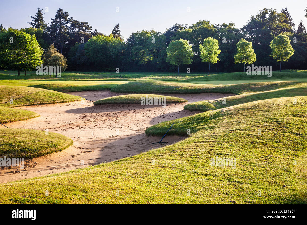 Un tipico campo di golf di prima mattina di sole. Foto Stock