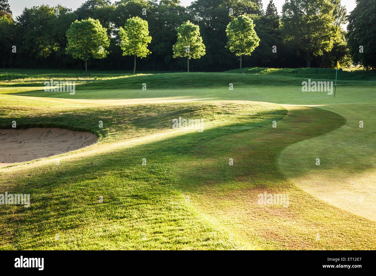 Un tipico campo di golf di prima mattina di sole. Foto Stock