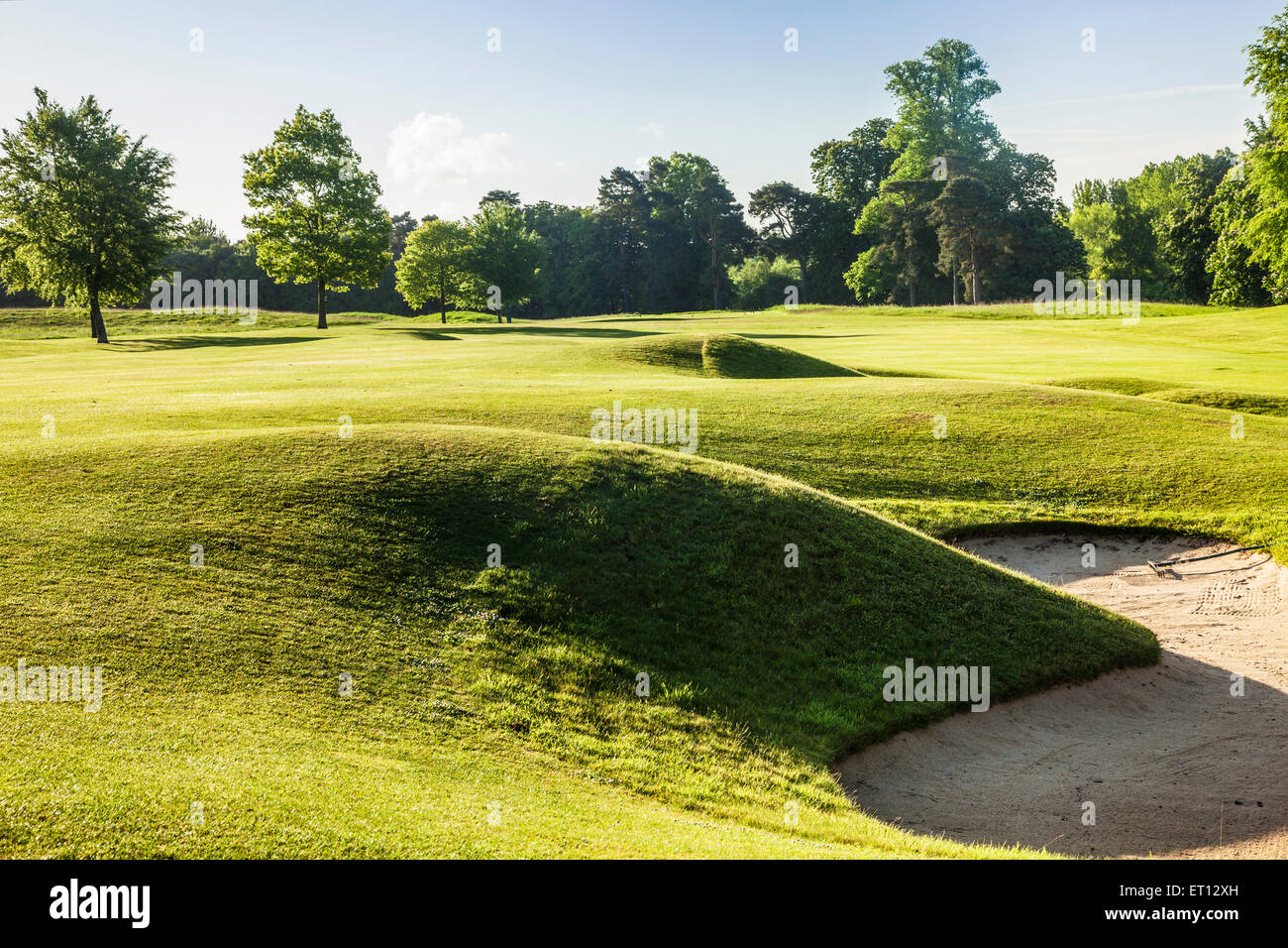 Un tipico campo di golf di prima mattina di sole. Foto Stock
