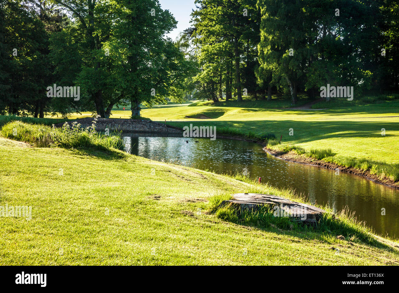 Un tipico campo di golf di prima mattina di sole. Foto Stock