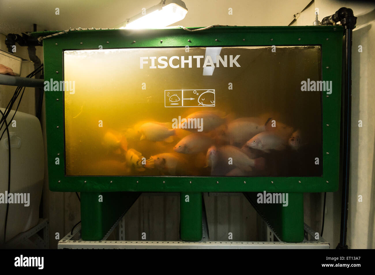 Berlino, Germania, un contenitore farm di ECF Farm Systems Foto Stock Berlino, Germania, un contenitore farm di ECF Farm Systems Foto Stock
