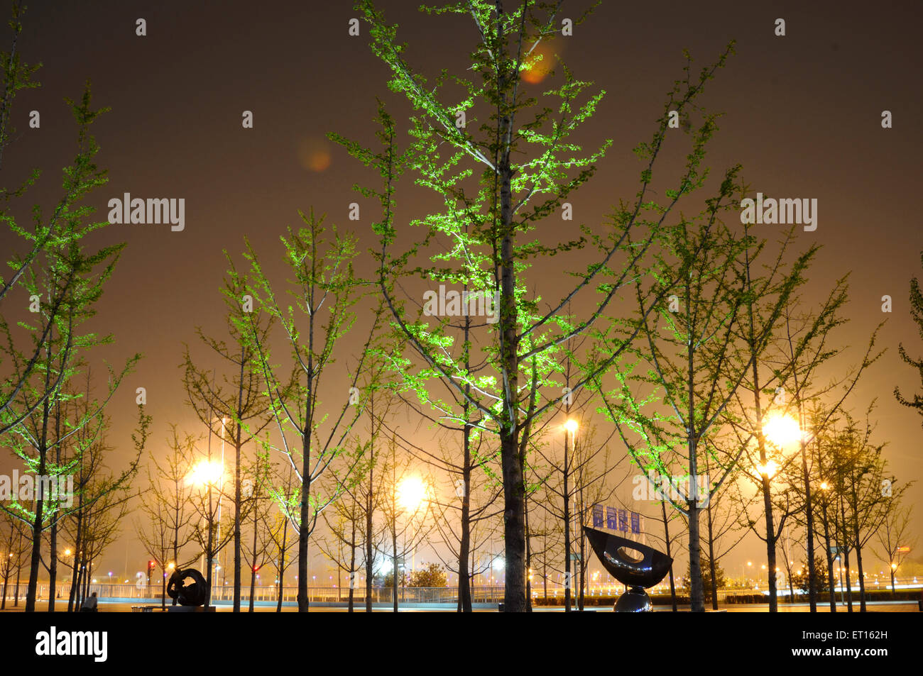 Alberi illuminati, complesso dei Giochi Olimpici, Pechino, Cina, cinese Foto Stock