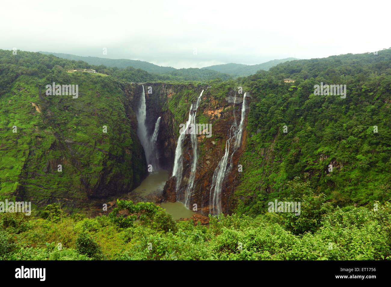 Jog falls shimoga Karnataka India Asia Foto Stock