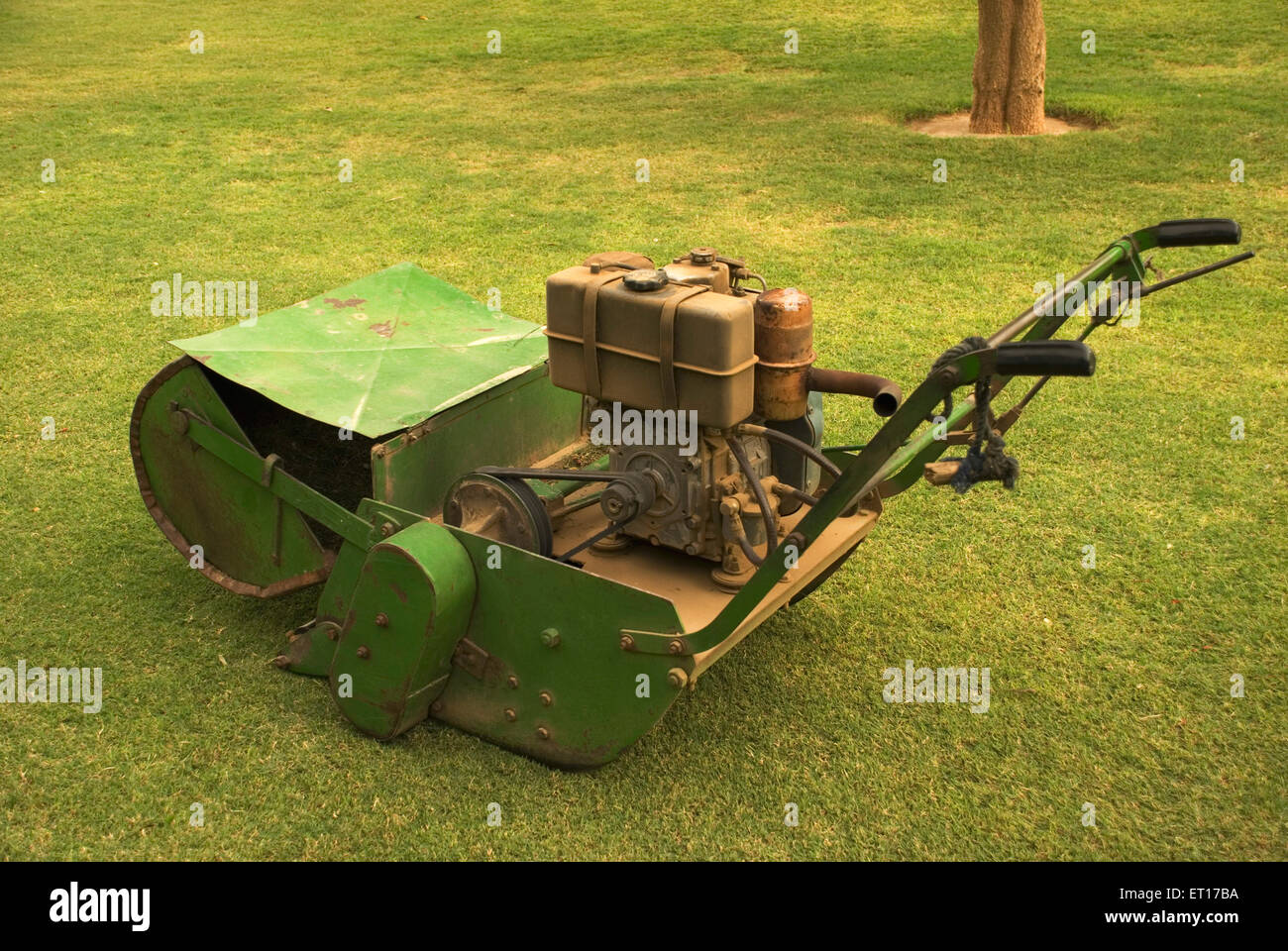 Falciaerba Foto Stock