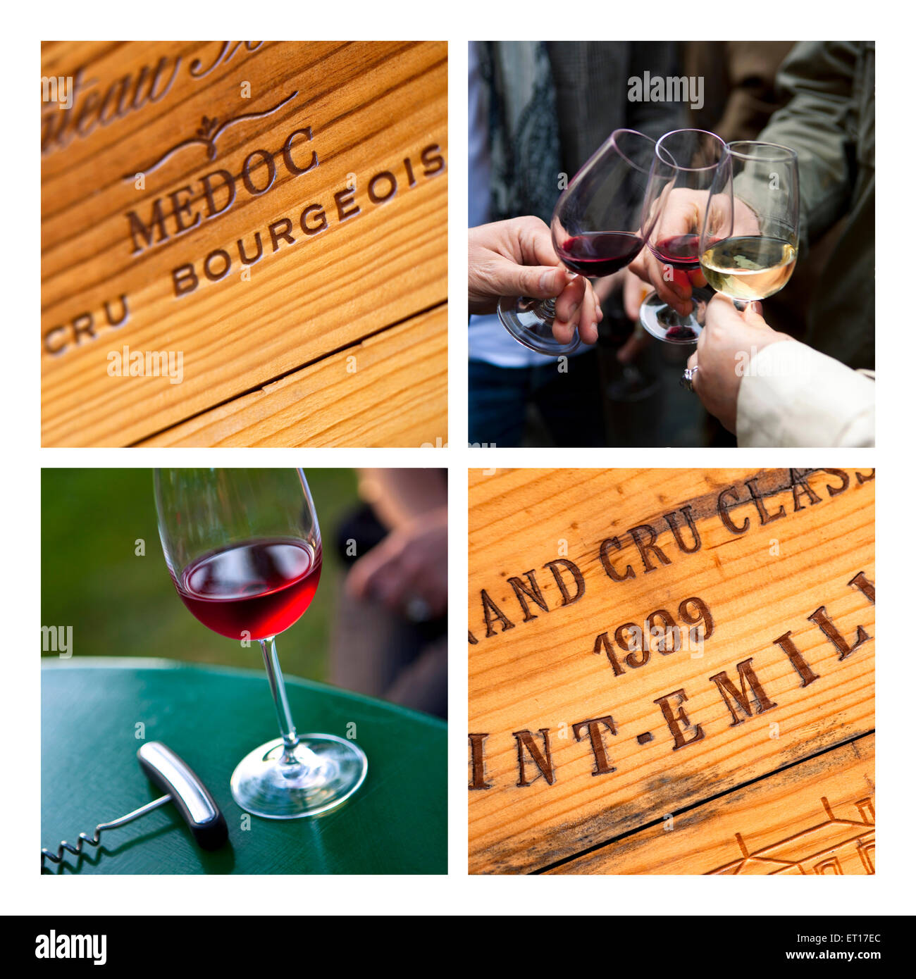 Degustazione di vino ed enologia elementi su un collage Foto Stock