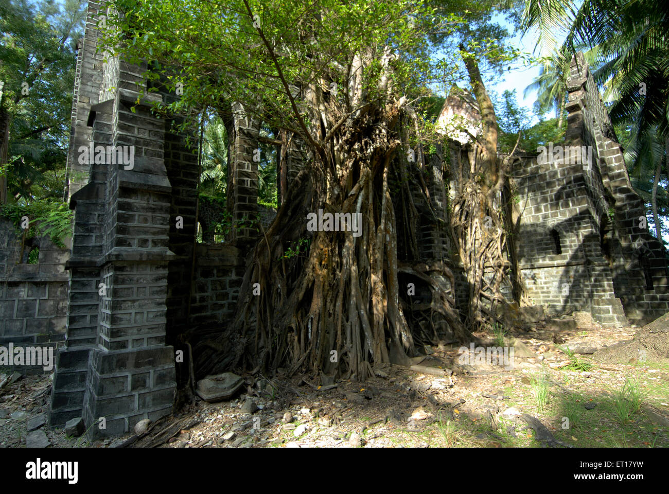 Rovine della vecchia chiesa britannica, isola di Ross, isole delle Andamane meridionali, Port Blair, isole Andamane e Nicobar, territorio dell'Unione dell'India, UT, India, Foto Stock