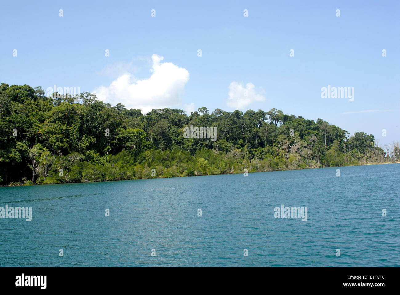 Isole Redskin, Port Blair, Andaman e Nicobar, territorio dell'Unione di India, UT, India, Asia Foto Stock