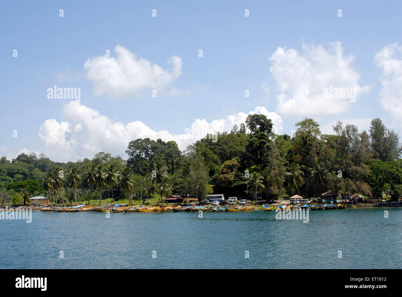 Pellerossa ; Isole Andaman Nicobar ; Baia del Bengala ; India Ottobre 2008 Foto Stock