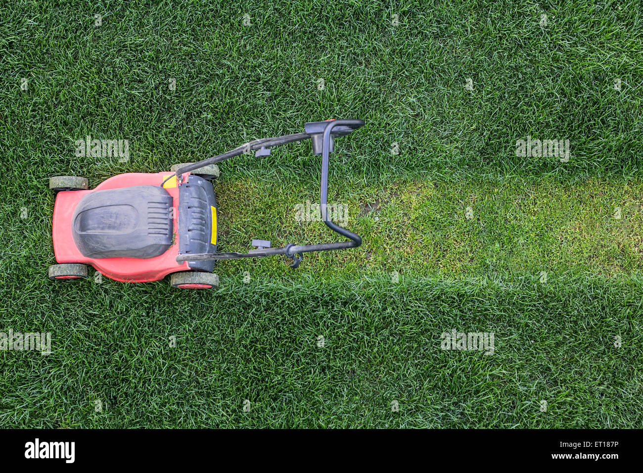 Erba taglierina taglia il prato verde Foto Stock