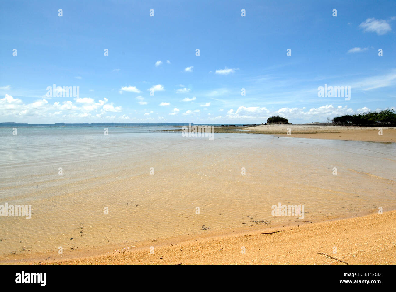Spiaggia di Radhanagar, Havelock Island, Port Blair, Andaman e Nicobar Islands, territorio dell'Unione di India, UT, India, Asia Foto Stock