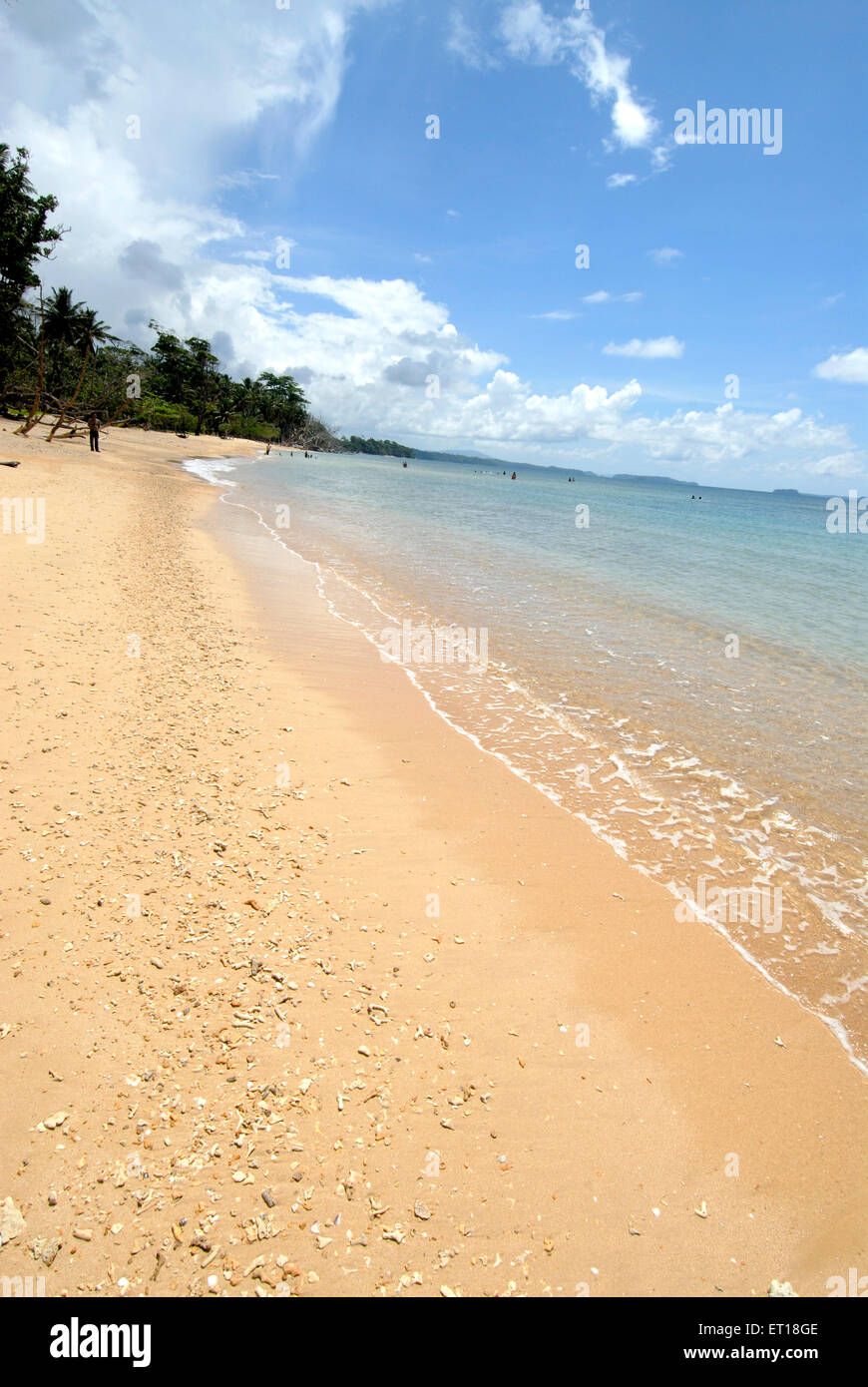 Spiaggia di Radhanagar, Havelock Island, Port Blair, Andaman e Nicobar Islands, territorio dell'Unione di India, UT, India, Asia Foto Stock