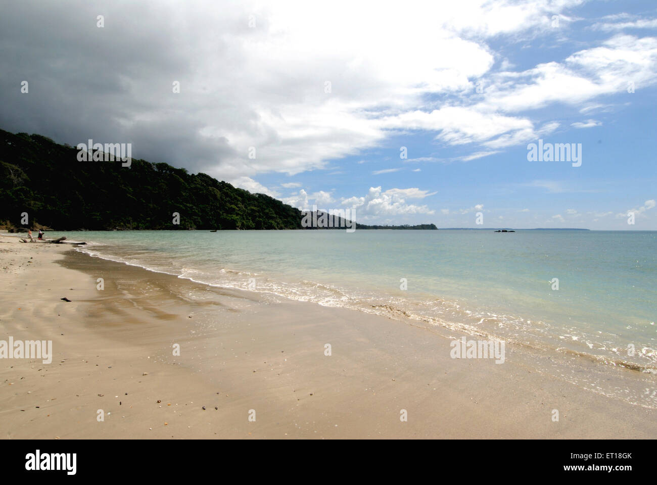 Spiaggia di Radhanagar, Havelock Island, Port Blair, Andaman e Nicobar Islands, territorio dell'Unione di India, UT, India, Asia Foto Stock