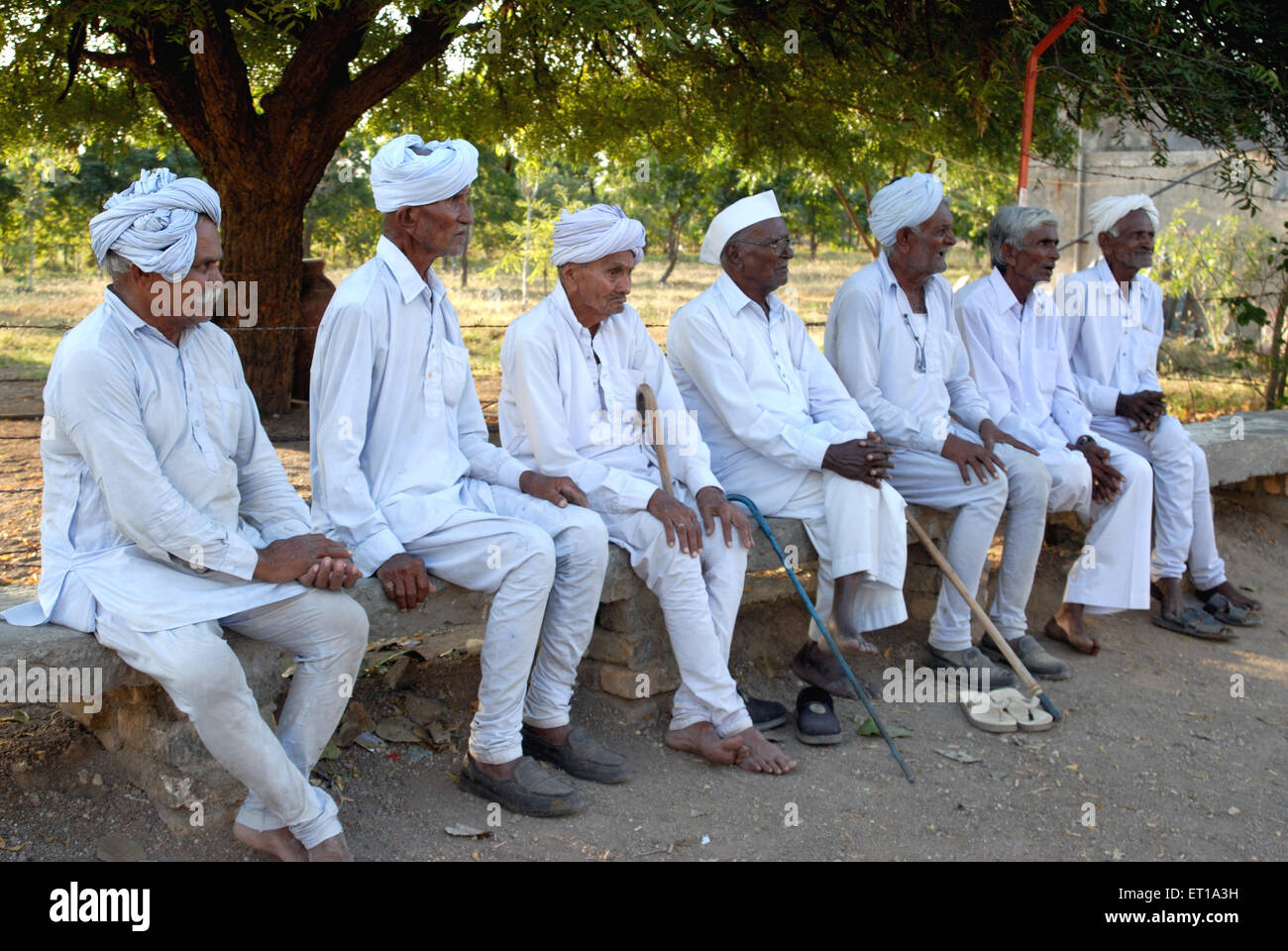 Sette anziani, anziani, seduti su panchina, con turbano kurta pajama bianco, Amreli, Gujarat, India, MR#364 Foto Stock