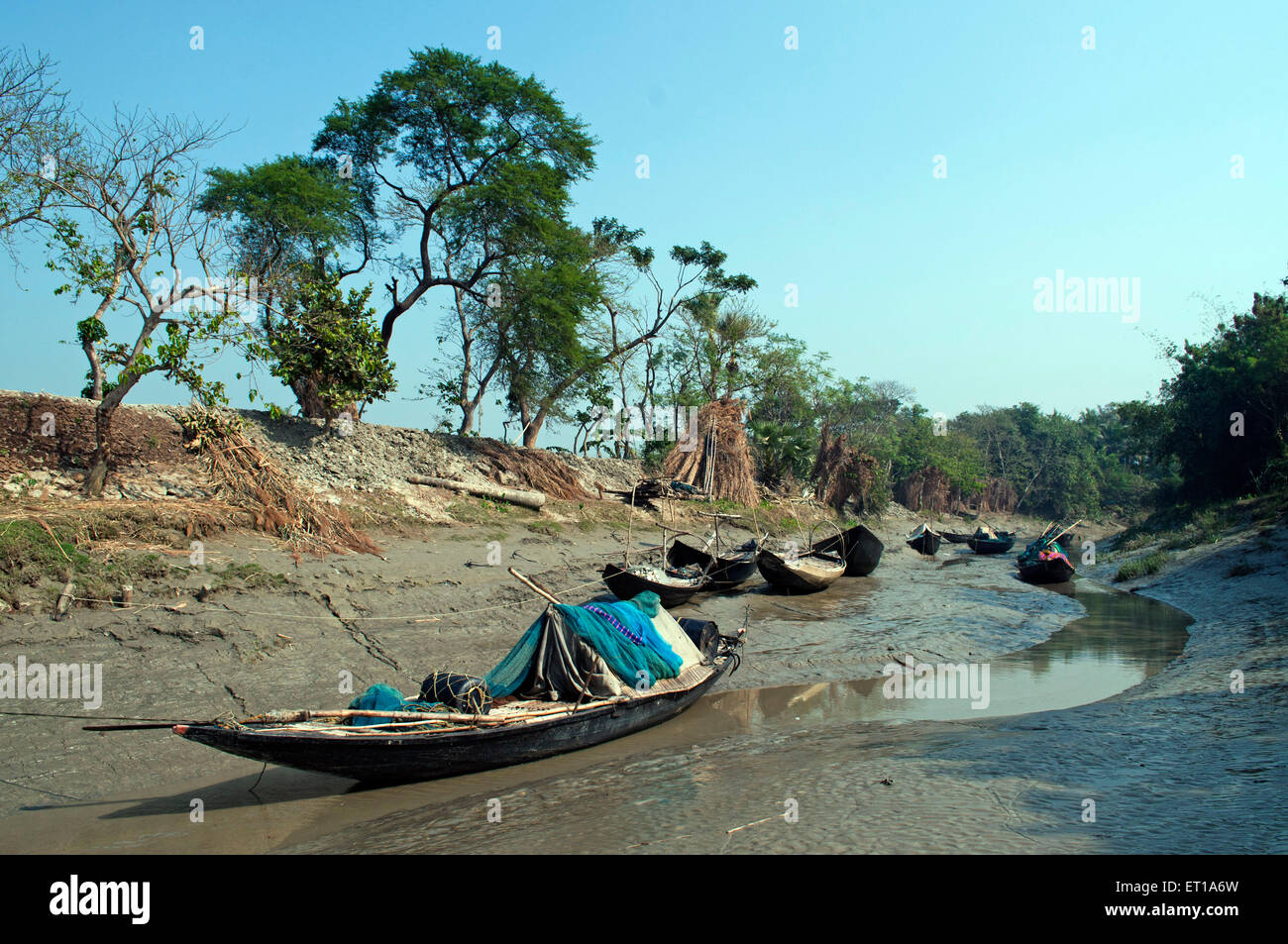 Barche sul fiume lato India Asia Foto Stock
