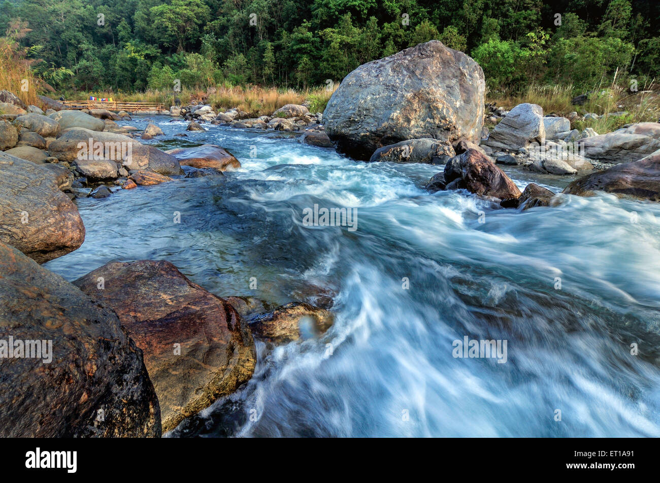 Reshi acqua di un fiume che scorre sulle rocce Sikkim India Asia Foto Stock