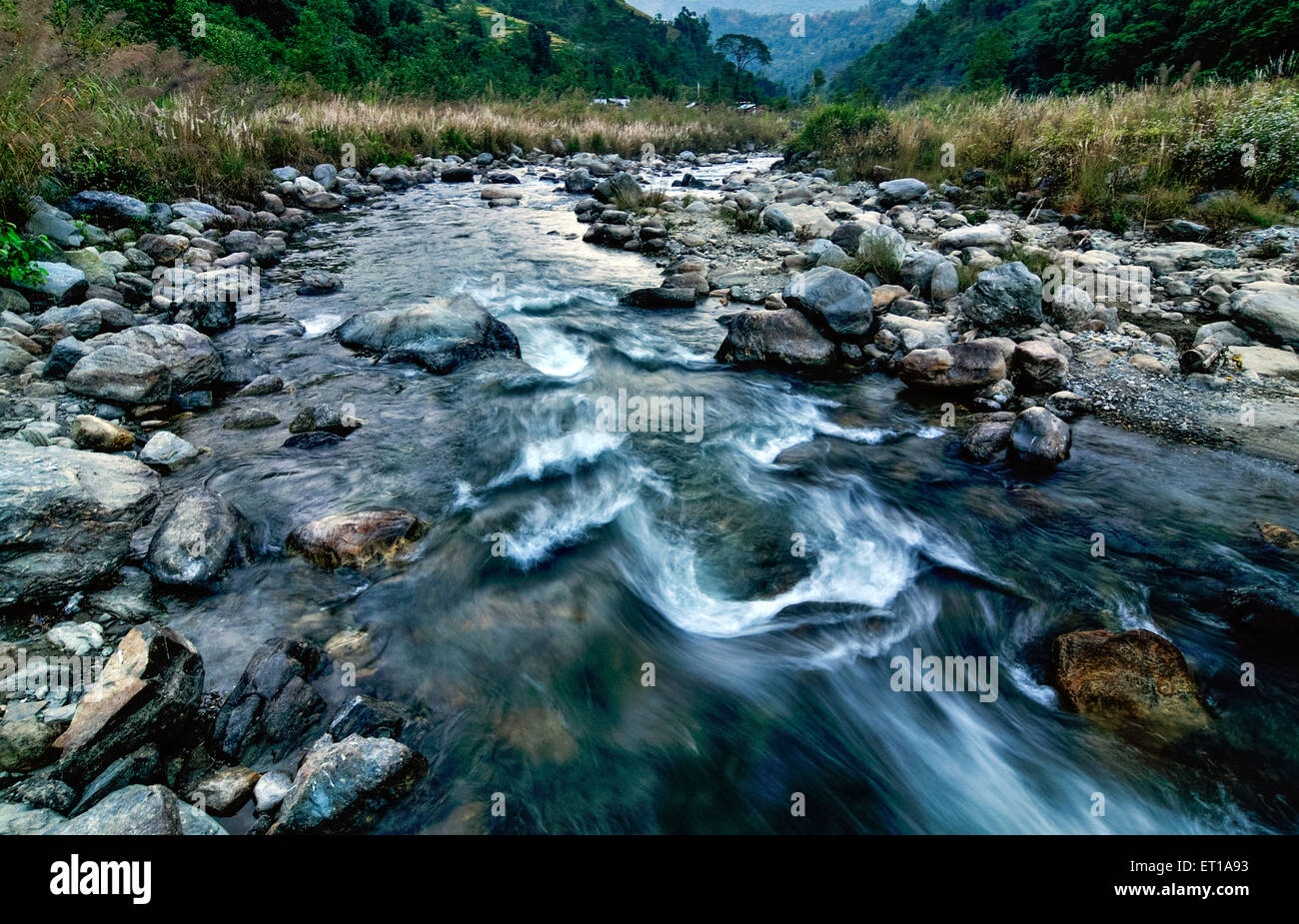 Reshi acqua di un fiume che scorre sulle rocce Sikkim India Foto Stock