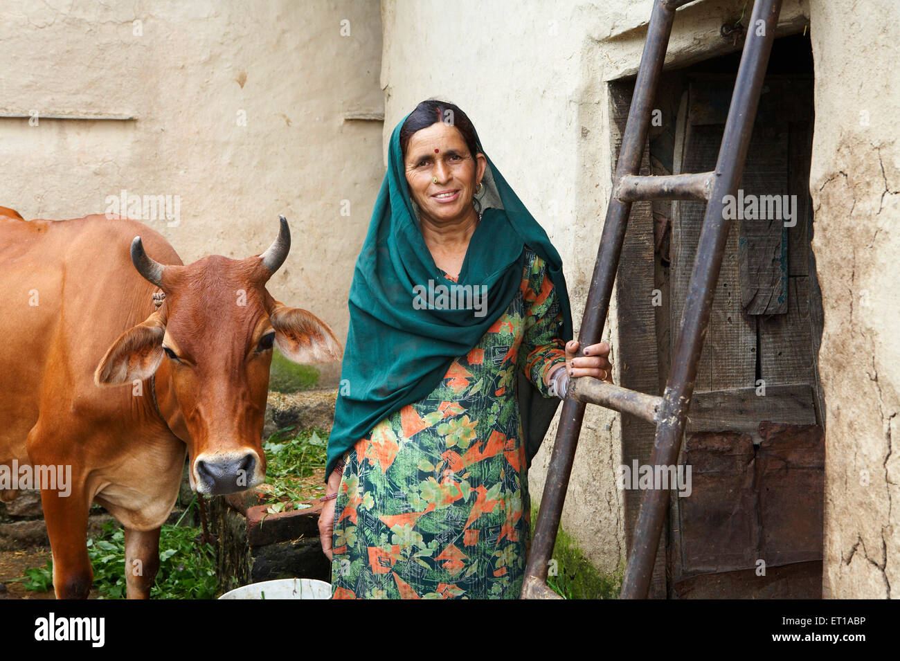Signora rurale con cow zootecnia iniziativa economica avviato da ONG Organizzazione Chinmaya dello sviluppo rurale Foto Stock