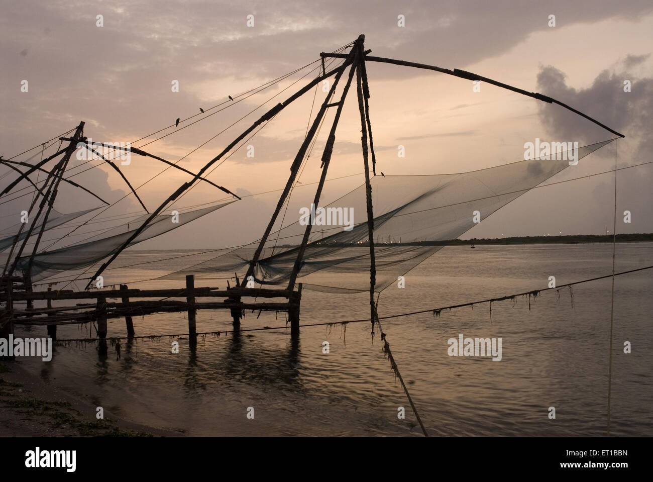 Chinise reti da pesca a Cochin, India Kerala Foto Stock
