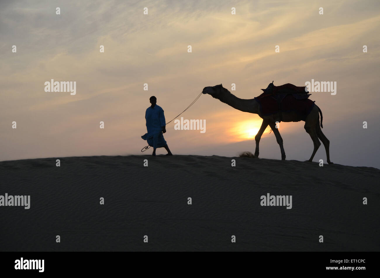 Cammello e uomo sono a piedi sulla duna di sabbia in Jaisalmer atr Rajasthan in India Foto Stock