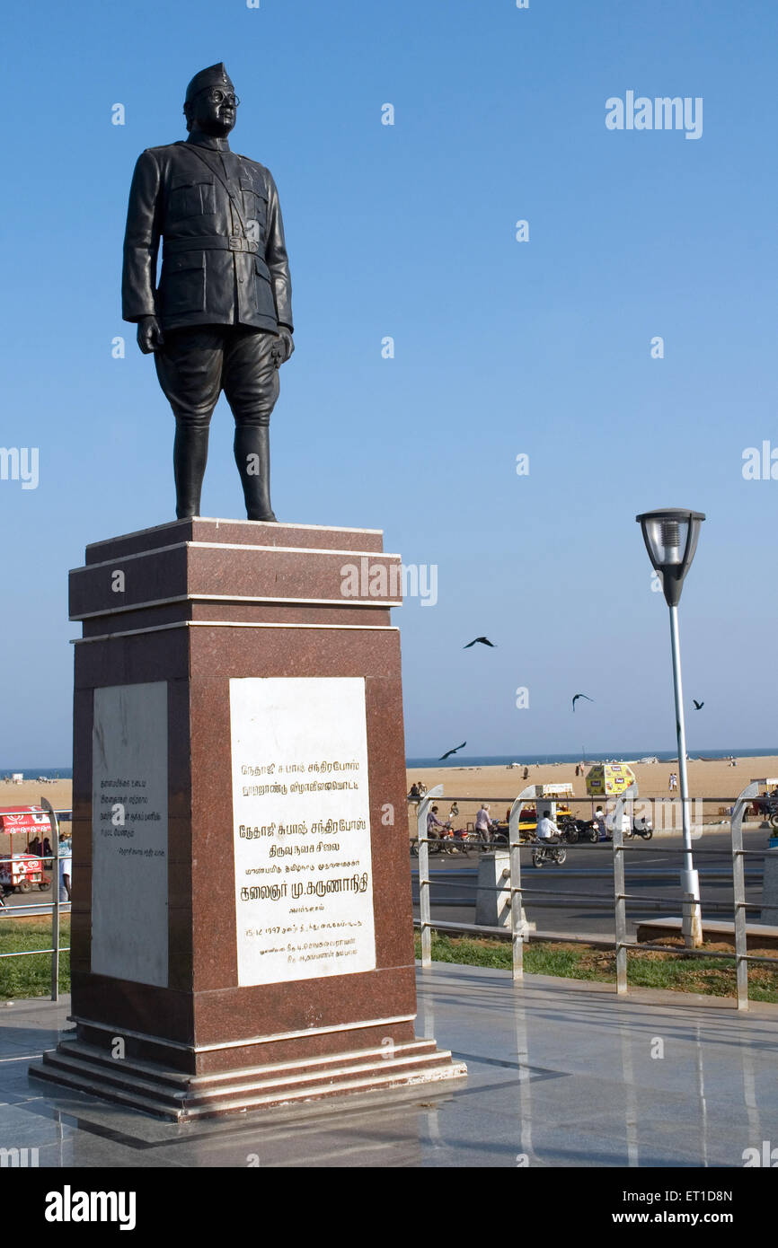 Statua di Netaji Subhash Chandra Bose presso la spiaggia di marina ; Chennai ; Tamil Nadu ; India Foto Stock