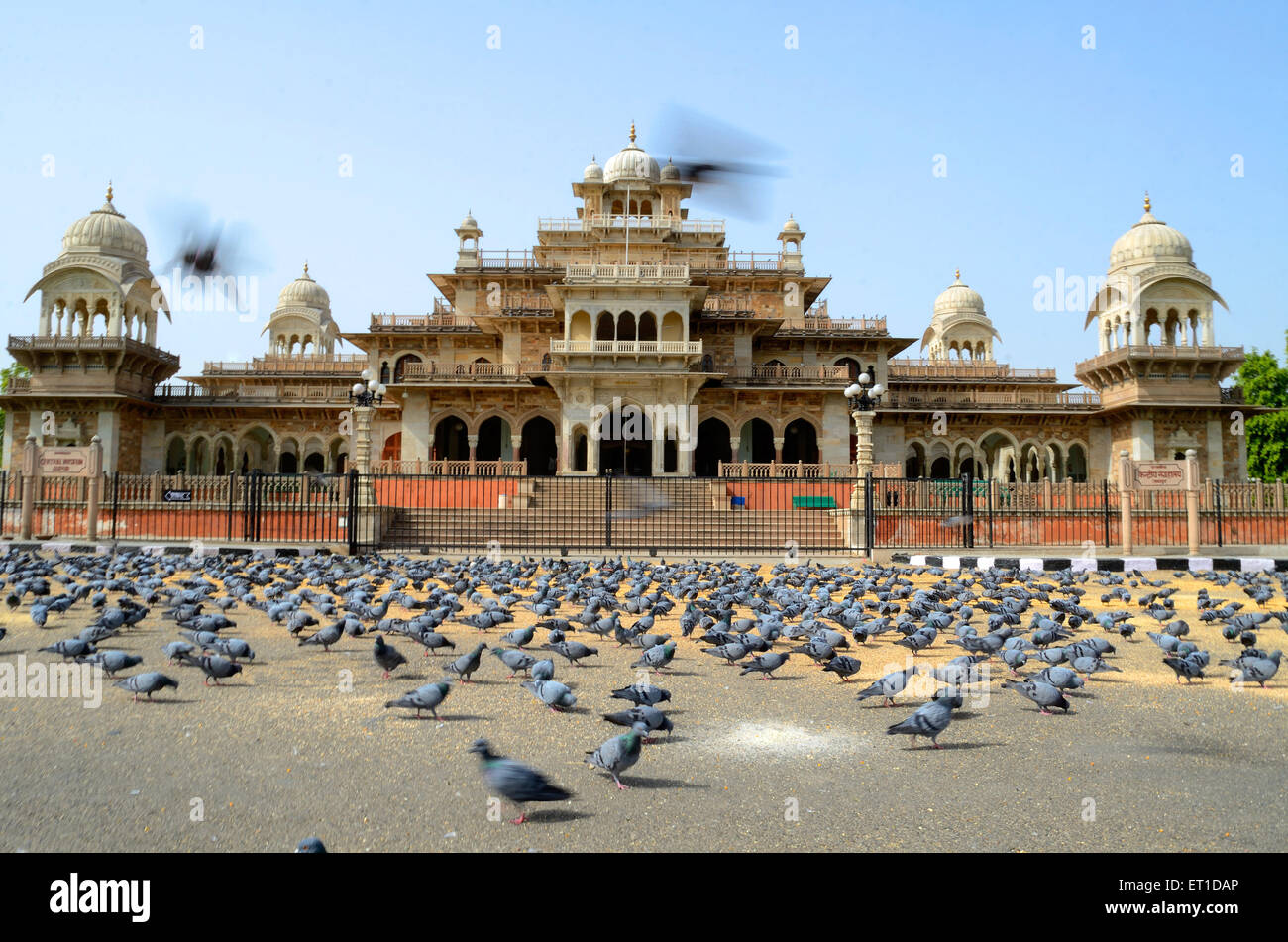 Albert Hall di Jaipur India Rajasthan Foto Stock