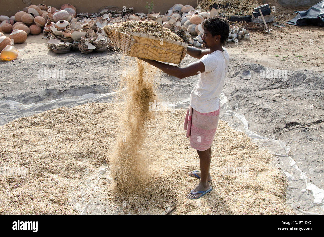 Uomo di pulizia di erba secca in Bikaner in Rajasthan India Asia Foto Stock