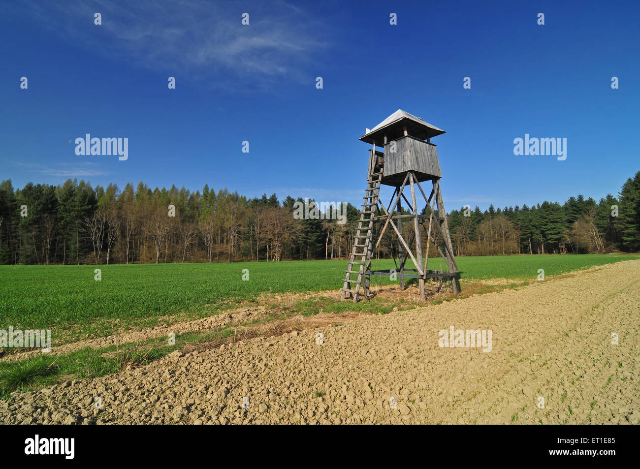 La torre della caccia in un campo Foto Stock