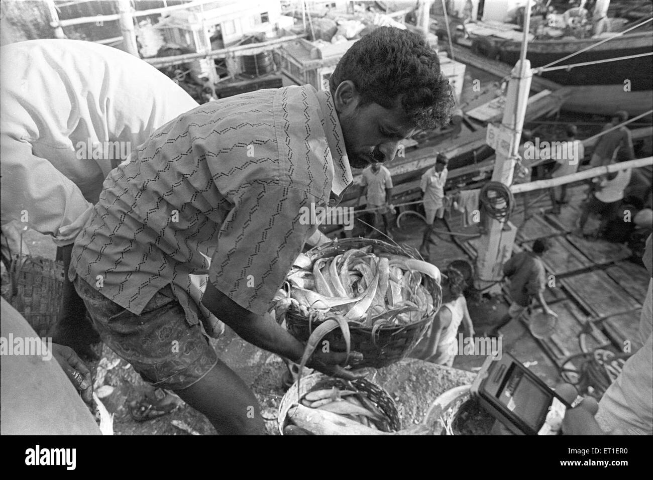 Pescatori ; bacino del Sassoon ; Colaba ; Bombay ; Mumbai ; Maharashtra ; India Foto Stock