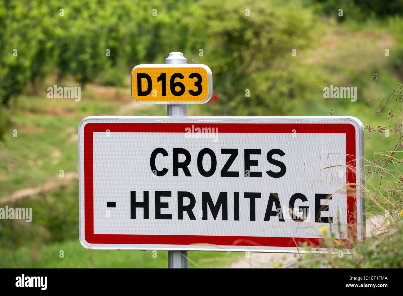 Segno Crozes Hermitage vigna, Northern Rhone, Francia, Europa Foto Stock